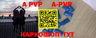 крисы Славгород