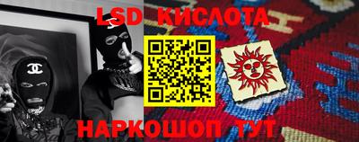 крисы Славгород