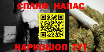 дмт Сланцы