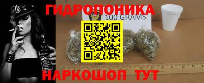 дмт Сланцы