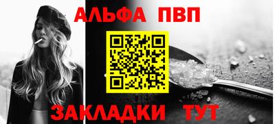 крисы Славгород