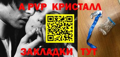 крисы Славгород
