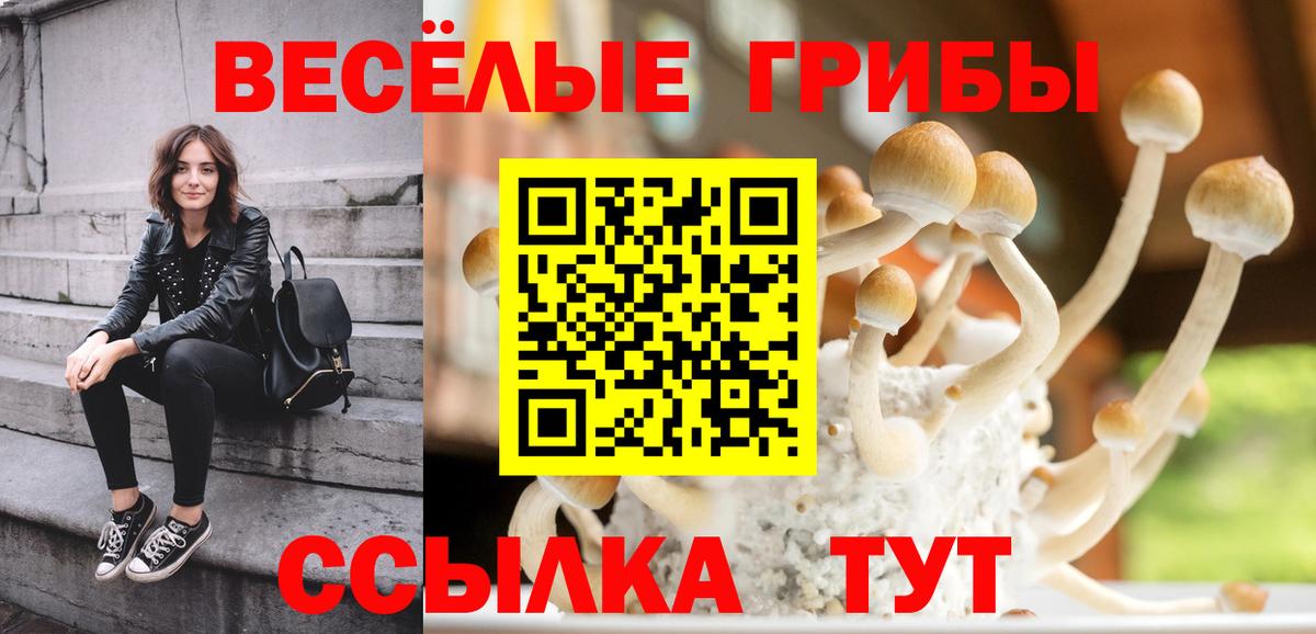 Ртищево  Псилоцибиновые грибы прущие грибы  Галлюциногенные грибы ЛСД  Вход с VPN 